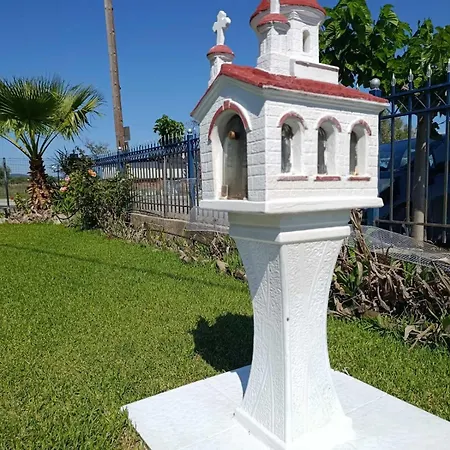 Silver Spot Raches